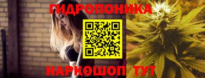гидропоника Будённовск