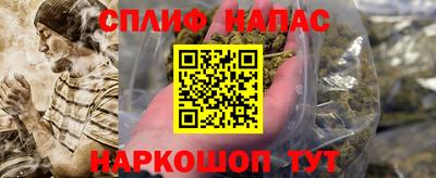 гидропоника Будённовск