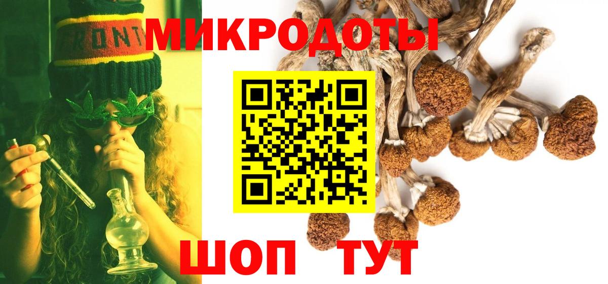Псилоцибиновые грибы Cubensis Стрежевой